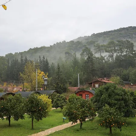 Pensión Simurg Evleri Olympos