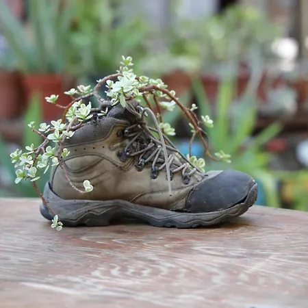 Simurg Evleri 3* Olympos