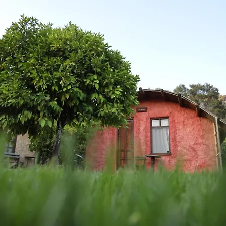 Simurg Evleri Olympos Kumluca