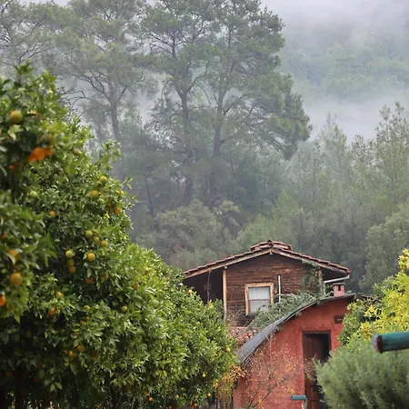 Simurg Evleri Olympos Kumluca