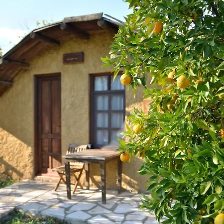Simurg Evleri Olympos